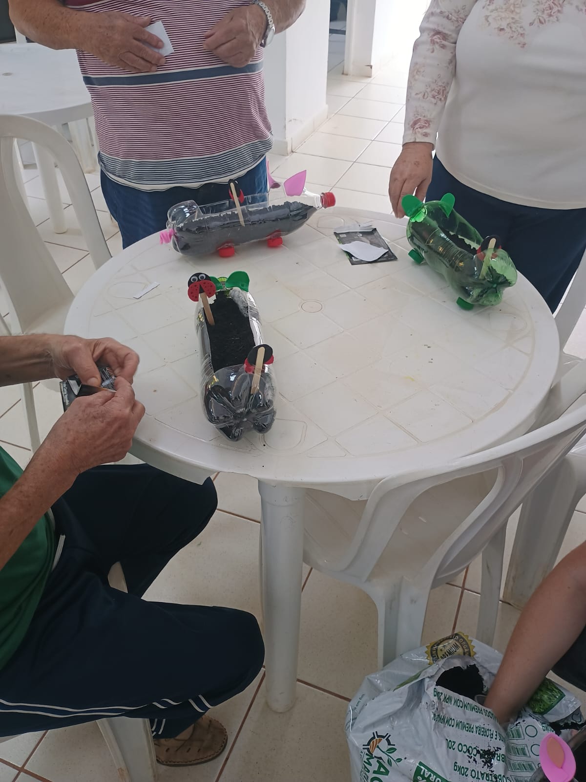 Mãos que Plantam, Memórias que Florescem